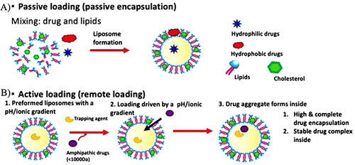 Figure 2. Drug loading techniques in liposomes [Citation92].