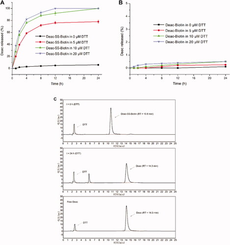 Figure 5. In vitro release of Deac from prodrugs. (A) Release profiles of Deac from Deac-SS-Biotin (9, 5 μM) with 0 μM, 5 μM, 10 μM and 20 μM DTT in PBS (pH 7.2–7.4) (n = 3). (B) Release profiles of Deac from Deac-Biotin (10, 5 μM) with 0 μM, 5 μM, 10 μM and 20 μM DTT in PBS (pH 7.2–7.4) (n = 3). (C) HPLC spectra of Deac-SS-Biotin (9, 5 μM) with 10 μM DTT at 0 and 24 h.