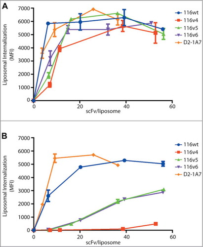 Figure 3. Variable domain or interdomain protein linker composition affect murine cross reactivity of anti-EphA2s. The chelated ligand-induced internalization assay was used to detect the amount of scFv-conjugated liposomes internalized on (A) human cancer cell line H-1993 and (B) murine cell line LLC-2. A benchmark antibody, 1A7, was used as positive control.