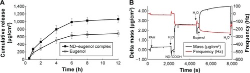 Figure 7 (A) In vitro drug release profiles of eugenol and ND–COOH/eugenol across the excised hairless mouse skin at 32°C using Franz-type diffusion cells (n=3). (B) Real-time response of the PAH-coated QCM sensor to ND–COOH and eugenol solutions to monitor the physical adsorption of eugenol on the ND–COOH surface.Note: Arrows represent injection of sample.Abbreviations: ND–COOH, carboxylated nanodiamond; PAH, polyallylamine hydrochloride; QCM, quartz crystal microbalance; ND, nanodiamond; h, hours; s, seconds.