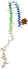 Figure 7 Molecular docking results are showing the binding mode of zero valent iron (ZVFe) NPs to α-synuclein. ZVFe NPs are depicted in ball model. Protein backbone of α-synuclein is demonstrated in the cartoon model.