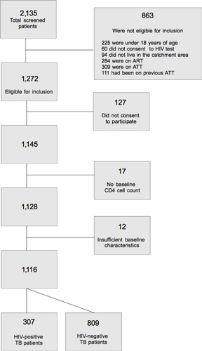 Fig. 1 Flow diagram of study participants.