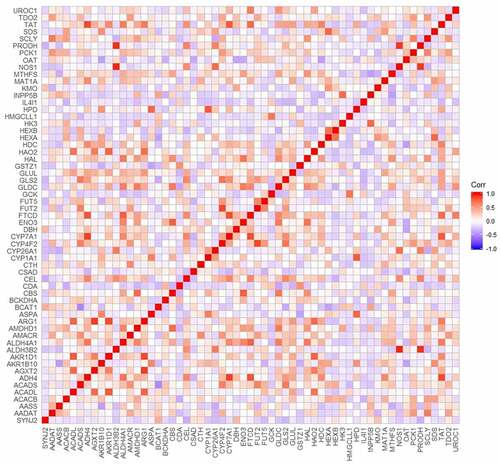 Figure 9. Correlations of metabolism pathways related differentially coexpressed genes based on CCLE