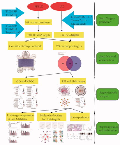 Figure 1. The flowchart of network pharmacology analysis of the mechanisms of JFFZLZ acting on UC.