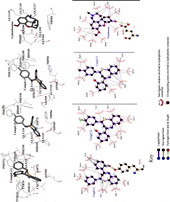 Figure 2 LIGPLOTS showing interactions of the benzothiazepines 1–3 and galanthamine in the active site of AChE.