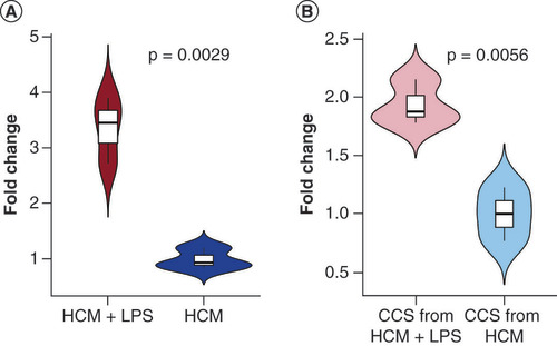 Figure 8. Expression levels of tiRNA-Gln-TTG-001 in vitro assessed by quantitative real-time PCR. (A) Intracellular tiRNA-Gln-TTG-001 levels were significantly increased following exposure (p = 0.0029). (B) tiRNA-Gln-TTG-001 were significantly increased in the CCS, following exposure (p = 0.0056).CCS: Cell culture supernatant; HCM: Human cardiomyocyte; LPS: Lipopolysaccharide.