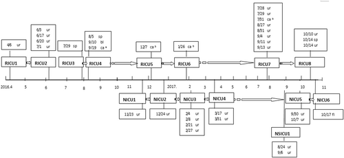 Fig. 1 Onset chart of Candida auris infection.Onset chart of 15 cases of Candida auris infection (the detection time and sample type are shown in the textboxes); Respiratory ICU inpatient number (RICU1-RICU8); Neurology ICU inpatient number (NICU1–NICU6); Neurosurgical ICU inpatient number (NSICU1); sp sputum; ur urine; bl blood; caa central venous line; cab urinary catheter; dr drainage