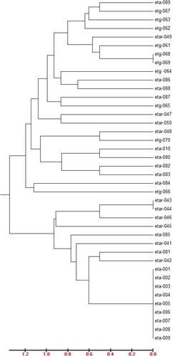 Figure 6. Neighbor-Joining (NJ) tree showing genetic relationships among 40 Colletotrichum lindemuthianum isolates from common bean genotypes. The genogram was generated based on neighbor-joining algorithms [Citation28] by MEGA 6 [Citation29].