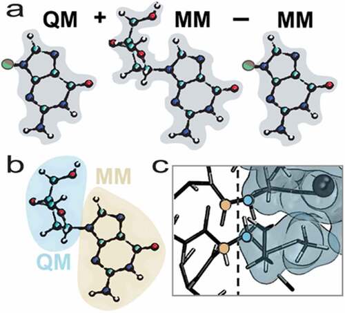 Figure 1. (a) Example of a subtractive QM/MM scheme; (b) additive QM/MM scheme; and (c) zoom in to the QM/MM interface region of an additive coupling scheme.Reprinted with permission from E. Brunk and U. Rothlisberger Chemical reviews 115 (2015), pp. 6217–6263 [Citation39]. Copyright 2015 American Chemical Society.