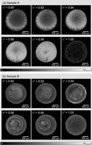 Figure 4. Time-differential images of samples A and B shown as a function of time. The coloring is based on the absolute value |ΔIi(t)|=|Ii(t+Δt)-Ii(t)|, of the light intensity I for each pixel i at time t with a single time step difference Δt, with the range from 0 to the maximum value of the pixel in the six images for each sample. The larger values of |ΔIi(t)| indicates the significant change of state for the respective same locations in the samples due to flow or/and evaporation.