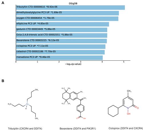 Figure 6 Prediction of top 10 candidate drugs. (A) The top 10 hub gene-related drugs. (B) The diagram of chemical structure of drugs.