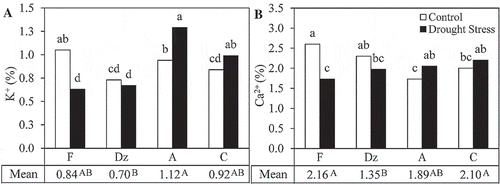 Figure 6. The effect of drought stress on concentrations of (A) K+ and (B) Ca2+ in the leaves of olive cultivars: Fishomi (F), Dezful (Dz), Amigdalolia (A), Conservolia (C). Means (n = 4) with different letters are significantly different at 5% level of the Duncan’s multiple range test. Upper case letters indicate significant differences between the cultivars.