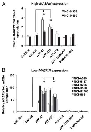 Figure 2 ATFs regulate MASPIN in high- and low-MASPIN expressing NSC LC cell lines. (A) Relative MASPIN mRNA upregulation in the high-MASPIN expressing cell lines NCI-H358 and NCI-H460. (B) Relative MASPIN expression in the low-MASPIN expressing cell lines NCI-A549, NCI-H157, NCI-H226, NCI-H520, NCI-H1703 and NCI-H661. MASPIN mRNA expression levels were measured by quantitative real-time PC R and data was normalized to the untransduced cell lines. Experiments were run in triplicate and data represent the mean ± SD of three independent biological replicates (*p < 0.05, as determined by ANOVA). Cell line refers to untransduced NSC LC cell lines; control, cells transduced with an empty retroviral vector; ATF-97, ATF-126 and ATF-452, cells transduced with the corresponding ATFs; ATF-126NOVP is a control ATF-126 lacking the VP64 activator domain; PMXVP64-SS is a control vector expressing the VP64 activator domain only.