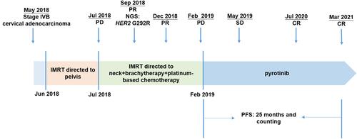 Figure 1 A summary of patient’s treatment history.