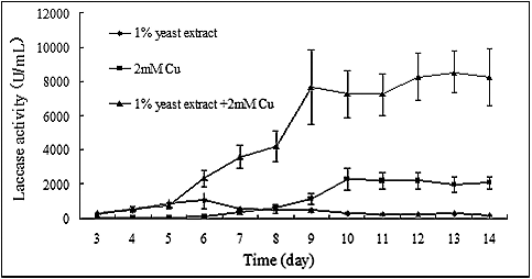 Figure 6. Synergistic effects of yeast extract and copper on laccase production in P. ostreatus (ACCC 52857).