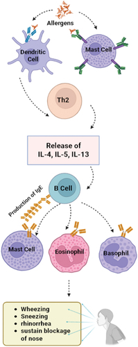 Figure 1. Pathophysiology of Allergic Rhinitis.