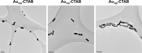 Figure S1 TEM images of Au700-CTAB, Au725-CTAB, and Au765-CTAB (scale bar =50 nm).Abbreviations: TEM, transmission electron microscopy; Au, gold; CTAB, hexadecyltrimethylammonium bromide.