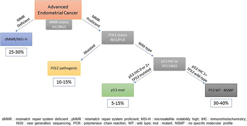 Figure 1 Molecular classification of EC based on the ProMisE molecular classifier by Kommos et al. This classification is based on several successive biomarker investigations. First, ECs are categorized between MMR proficient and MMR deficient tumors. 25–30% belong to the latter. When pMMR, POLE mutations need to be searched through NGS or PCR. Between 10 and 15% of ECs belong to the POLE mutated subgroup. If samples are pMMR and do not harbor POLE mutations, IHC for p53 allows the distinction between p53-mut group (5–15%) and NSMP group (30–40%).
