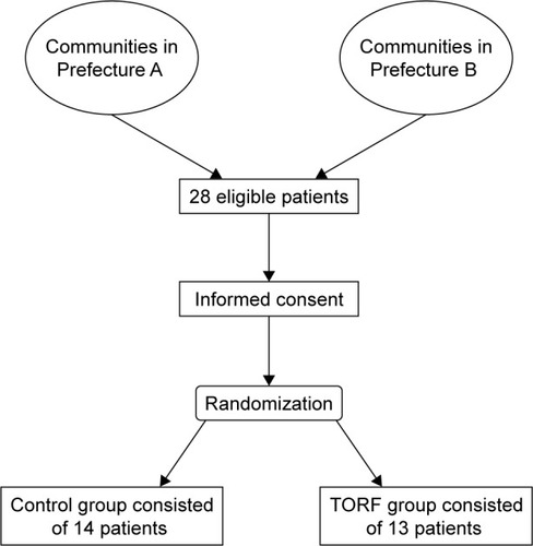 Figure 2 Flow of patients through the trial.