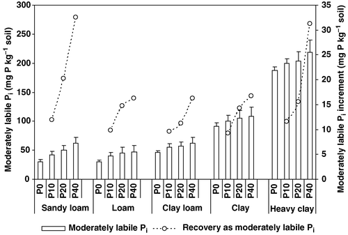 Figure 4. Moderately labile Pi contents in soils and their increments over control after two rotation cycles of barley-soybean, as influenced by P rate and soil texture on five Quebec Humaquepts (bar = standard deviations).