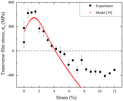 Figure 5. (colour online) Transverse film stresses of the 50 nm Cu film (in black) compared to the data evaluated by the model of Frank et al. [Citation19] (in red). A Poisson’s ratio of 0.36 for Cu and 0.32 for PI as well as the experimental data of the crack spacings are used in the model to calculate the stresses.