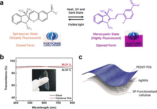 Figure 1. (a) Digram of reversible photo- and thermochromism switching of SP-incorporated functional films. (b) Transmittance spectra of the cellulose and glass substrates, and a photograph of the cellulose film. (c) Schematic of the flexible conductive cellulose/SP film.