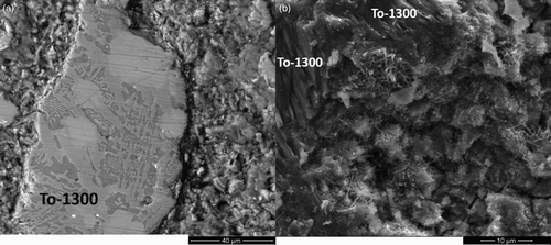 7 SEM analysis of a polished and b fracture surfaces of TO-1300 based paste (after 28 days of curing)