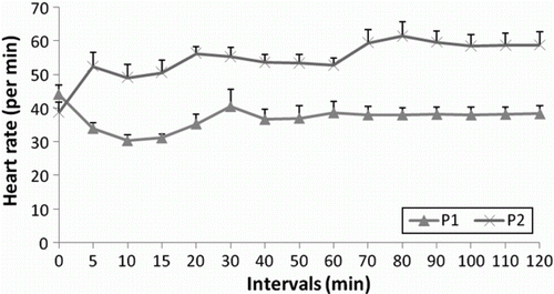 Figure 1.  Heart rate (HR) at different time intervals in the animals of P1 and P2 groups.