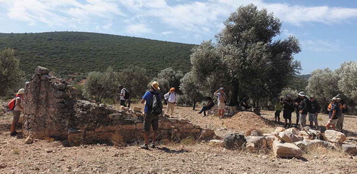 Figure 5. Participants from a local walking group in Urla-Çeşme experiment with identifying and documenting landscape heritage including historic olive trees and ruined farm buildings using mobile phones. (Photo: Elif Koparal, August 2018)