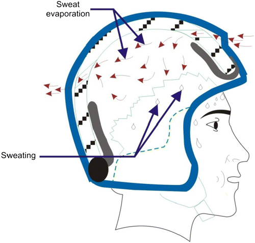 Figure 2 Moisture transfer from head.