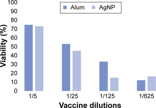 Figure 6 Comparison of mice viability (%) between alum and AgNPs in the NIH test.Note: No significant difference was found between alum and AgNP in each dilution.Abbreviations: AgNPs, silver nanoparticles; NIH, National Institutes of Health.