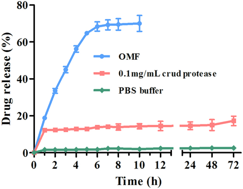 Figure 3. In vitro drug release under different conditions (PBS group, crude protease group, and OMF group).
