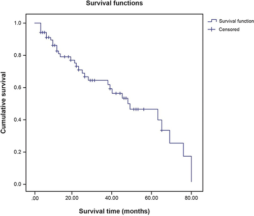 Figure 1 Kaplan–Meier survival curves of elderly patients on continuous ambulatory peritoneal dialysis.