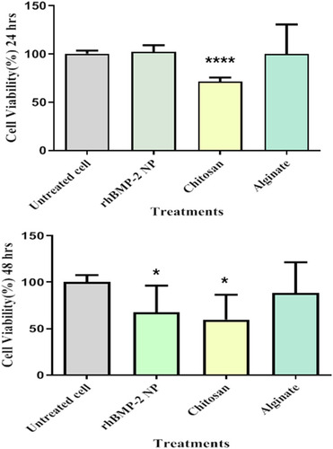 Figure 5 Cytotoxicity effects of chitosan, alginate, and Cs/Alg/B NPs on NIH 3T3cells at 24 and 48 hours. The NIH 3T3 cells were cultured in 96-well plates and were exposed to 10 µg chitosan, alginate, Cs/Alg/B NPs (26 µg/mL), and negative control (RPMI 1640). Positive control (untreated cell). Cell viability calculated as; viability (%)=Mean OD/Control OD×100%. All data are presented as the mean of three different measurements±SD, asterisks (*) represent means the significant difference from the control group by the Bonferroni posttest (P<0.05) and asterisks (****) P<0.0001. OD, optical density; SD, standard deviation.; Cs/Alg/B NPs(rhBMP-2 NPs), rhBMP-2-loaded chitosan/alginate nanoparticles.