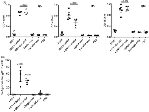 Figure 1. GenJet™ and in vivo-jetPEI enhances the H5N1 vaccine-induced systemic antibody responses and memory B-cell responses. Balb/c mice (5 mice/group) were intranasally administered with 3 µg of A/IN/05 vaccine with or without GenJet™ (10 µl/each mouse as described in previous study (Kulkarni et al., Citation2014)) or in vivo-jetPEI® (0.6 μl/mouse according to manufacturer’s protocol). One month later, mice were boosted with the same vaccine formulations. The control mouse group received GenJet™, in vivo-jetPEI® or PBS at both time points. (A) Three weeks after booster immunization, sera were collected and IgG, IgA and IgM antibodies against A/IN/05 were assessed by ELISA. (B) One week after booster immunization, the spleen were harvested and the frequency of A/IN/05-specific IgG+ ASCs in the spleen were measured by ELISPOT assay. The number of A/IN/05-specific IgG+ ASCs were normalized against the number of total IgG+ secreting ASCs and presented as % Ag-specific IgG+ B cells. The data are representative of two independent experiments (3–5 mice each group) and error bars represent SEM. One-way ANOVA with Bonferroni post-analysis was used to analyze differences among different groups. p < .05, p < .01 and p < .001 as compared to the H5N1 vaccine alone group.