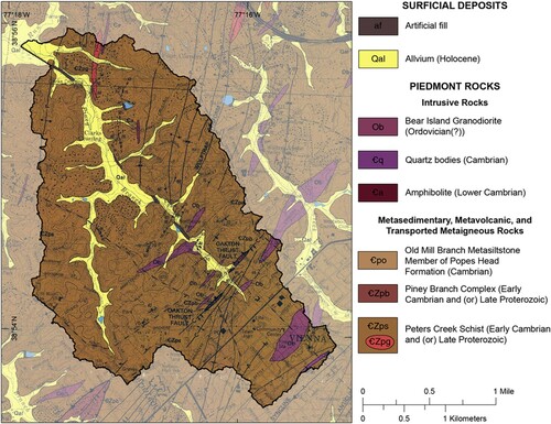 Figure 2. Geologic map of Vienna Quadrangle shown for the extent of the study area (modified from CitationDrake & Lee, 1989)