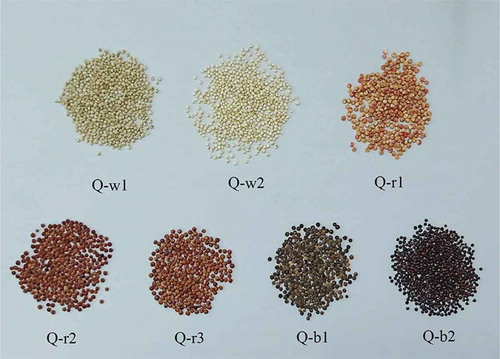 Figure 1. Representative photographs in appearance and the sample code of 7 colored quinoa varieties.