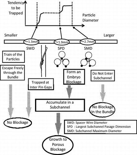 Figure 2. Effect of particle sizes on blockage formation (identical to Figure 4 in [Citation6]).