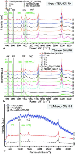 FIG. 4 Temporal changes in (a) Raman signals of the aqueous TEAHBS droplet at 40-ppm TEA (50% RH); (b) Raman signals of the aqueous TEAH sulfate droplet during decomposition in the TEA-free EDB chamber (50% RH); (c) Raman signals of the partially decomposed TEAH sulfate particle during decomposition at <3% RH and its Raman spectrum after re-humidification. (Color figure available online.)