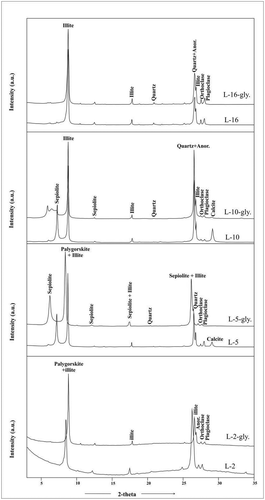 Figure 7. X-ray diffractograms of the separated clay sized fraction showing palygoskite with associated illite in the clayey sample (L2), whereas in sandy samples sepiolite and illite, along with non-clay minerals (with traces of calcite) and diffraction patterns collected after glycolation, show a peak shift due to -OH adsorption. Anor, anorthite; gly., glycolated