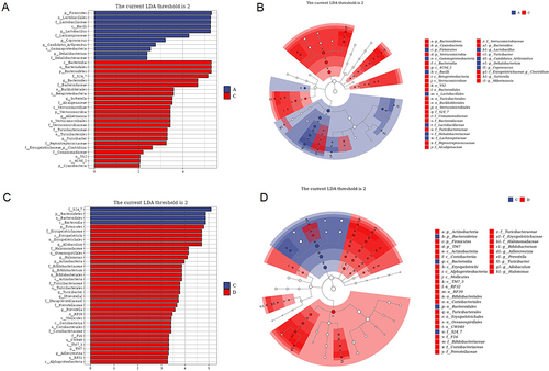 Figure 4 Selenium yeast changes the gut microbiota. Chronic colitis group (Group C); (A) Marker bacteria (LDA score (log 10) > 2) between the control group (Group A) and the chronic colitis group (Group C); (B) A LEfSe cladogram shows the dominant species in the control group (Group A) and the chronic colitis group (Group C); (C) Marker bacteria (LDA score (log10) > 2) between the chronic colitis group (Group C) and the chronic colitis + selenium yeast group (Group D); (D) A LEfSe cladogram shows the dominant species of the chronic colitis group (Group C) and the chronic colitis + selenium yeast group (Group D).