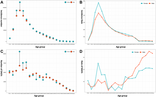 Figure 2 Number and rate of incidence and DALYs according to sex and age groups in 2019. Male and female are represented by the Orange and blue points, respectively. (A) Number of incident cases for females and males in different age groups; (B) Rate of incidence for females and males in different age groups; (C) Number of DALYs for females and males in different age groups; (D) Rate of DALYs for females and males in different age groups.