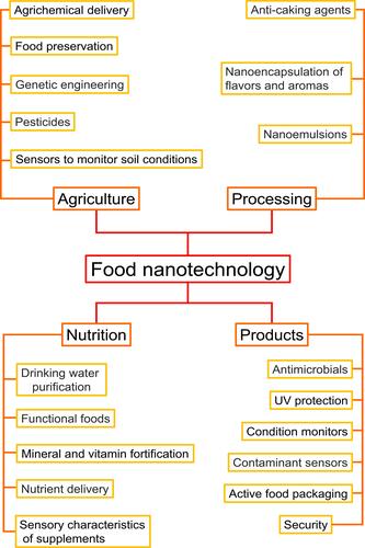 Figure 6 The potential applications of food nanotechnology.