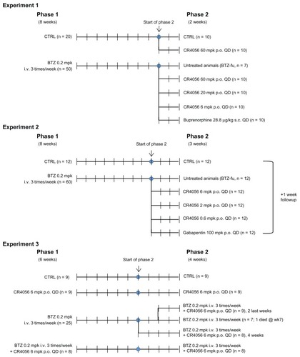 Figure 1 Flow charts of in vivo experiments: Experiments 1, 2, and 3.