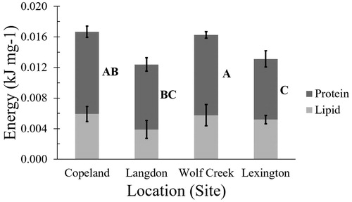 Figure 3. Partitioning of energy available by macronutrient (protein and lipid) per mass (g) of Ephemeroptera among reaches (mean ± pooled variance standard error) of the LMOR. Different letters indicate significant differences in protein energy between reaches (lipid energy did not significantly vary among reaches).