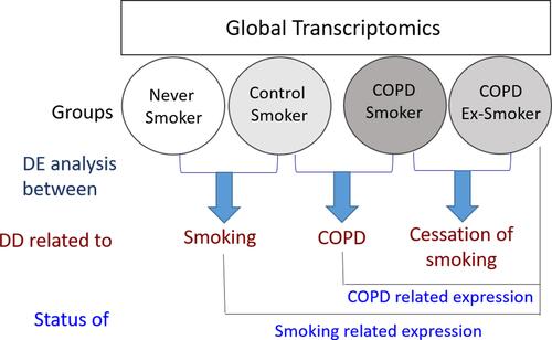 Figure 1 Global transcript profiling of the peripheral blood monocytes isolated from Control (Never Smokers and Control Smokers) and COPD (COPD Smokers and COPD Ex-Smokers) groups was performed. To identify the effect of smoking, differentially expressed genes between Never-smokers and Control Smokers were studied, while the effect of COPD was studied by performing differential display between control smokers and COPD smokers. To obtain information about the effect of smoking cessation on expression of genes associated with COPD, genes differentially expressed in COPD smokers and COPD Ex-smokers were studied. To study the status of COPD related expression, genes which were found to be differentially regulated in the control smokers and COPD smokers were compared with the Ex-smoker COPD group. The genes which were found to be differentially regulated in the Never-smokers and Control smokers were compared with that in the Ex-smoker COPD group to study the status of smoking related genes. It was assumed that the effects of target variables on the whole-genome transcript expression were liable to exhibit simple summative effect.