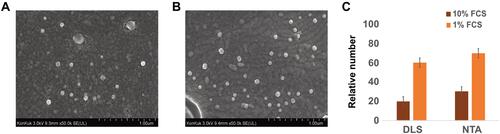 Figure 3 Serum deprivation causes an increase of the number of cellular exosomes in THP-1 cells. Panel (A); 10% FCS. Panel (B); 1% FCS. Panel (C) Quantification of exosomes using DLS and NTA.