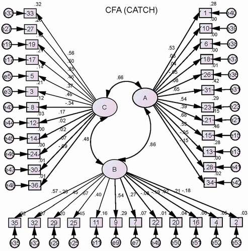 Figure 1. Standardized estimates for the CATCH model. (a) Affective domain; (b) Behavioral domain; (c) Cognitive domain