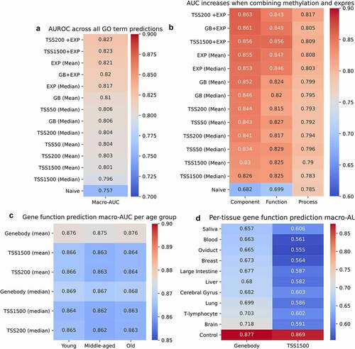 Figure 4. Logistic regression-based gene function prediction performs better than the naive predictor for both expression and methylation. Macro-AUCs for logistic regression models for mean and median methylation and expression, as well as combined expression and mean TSS1500 methylation (TSS1500_EXP), TSS200 (TSS200_EXP) and gene body (GB_EXP) (a). Per root GO term macro-AUCs for the features in 3a (b). Logistic regression macro-AUCs for models trained on slices of the GEO dataset (sample n = 1000 for each model) with annotated ages under 30 (Young), between 30 and 60 (Middle-aged), and over 60 (Old) (c). Logistic regression macro-AUCs for models trained on slices of the GEO dataset (sample n = 200 for each model) with the annotated tissue for each row. The control is composed of randomly selected samples from all tissues, with sample n = 1000 (d).