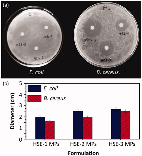 Figure 8. (a) Images showing the zone of inhibition induced by different MPs for E. coli and B. cereus. (b) The diameter of the zone of inhibition induced by different MPs.